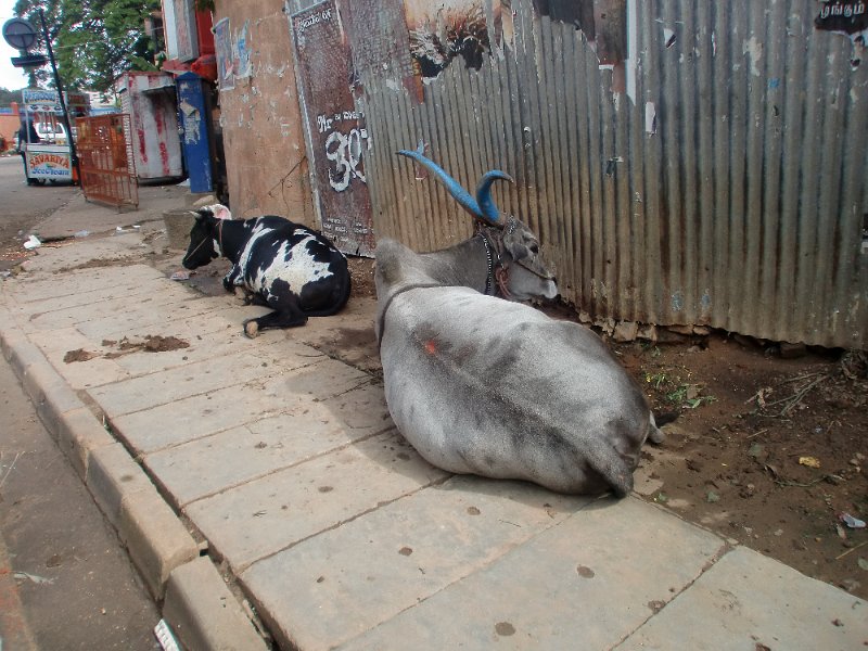 India Trip - July 2010 170.jpg